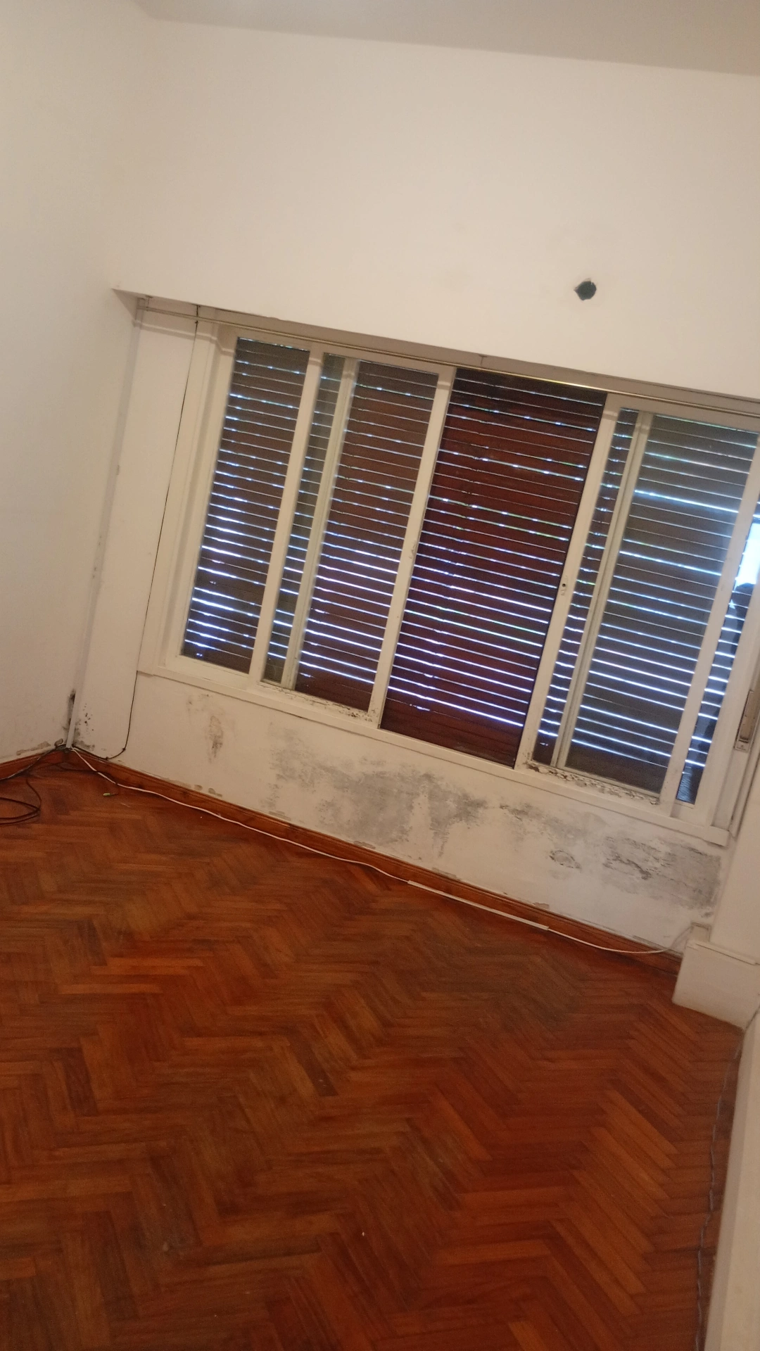 🏡 𝗔𝗟𝗤𝗨𝗜𝗟𝗘𝗥 𝗣𝗛 3 𝗔𝗠𝗕𝗜𝗘𝗡𝗧𝗘𝗦 𝗖𝗢𝗡 𝗙𝗢𝗡𝗗𝗢 𝗩𝗘𝗥𝗗𝗘  — imagen 4