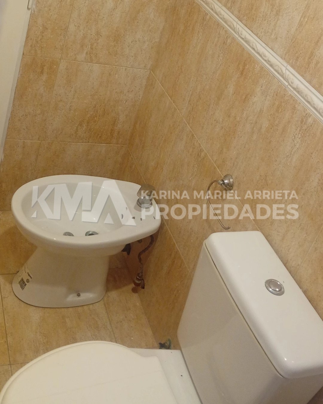 ¡𝗡𝗨𝗘𝗩𝗢 𝗜𝗡𝗚𝗥𝗘𝗦𝗢 𝗘𝗡 𝗔𝗟𝗤𝗨𝗜𝗟𝗘𝗥! 🌟 — imagen 8