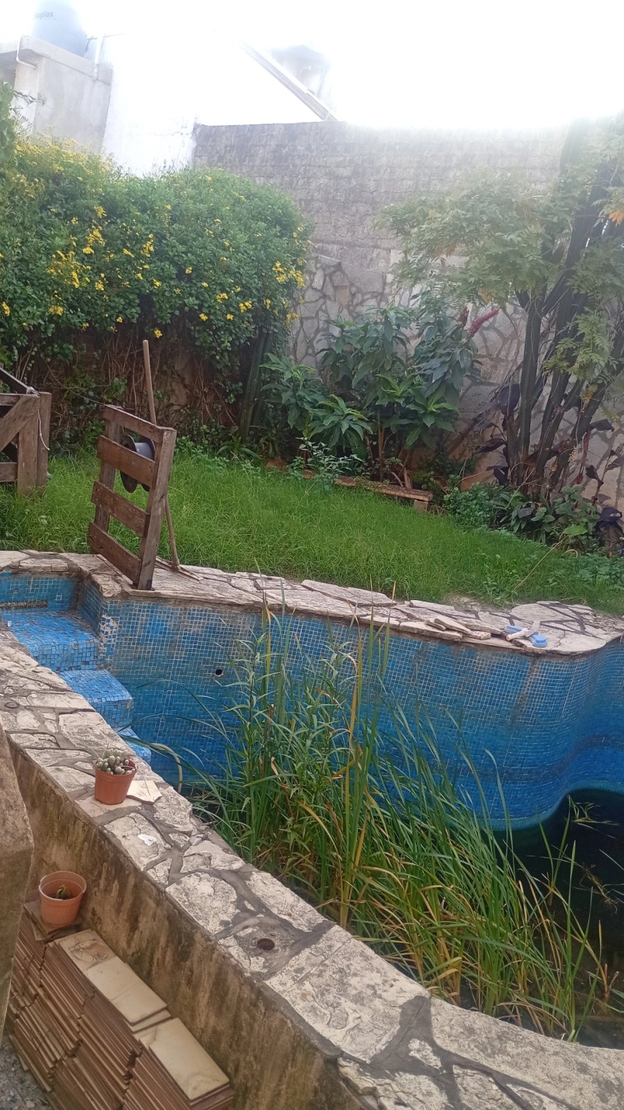‼️🏠 𝗡𝗨𝗘𝗩𝗢 𝗩𝗔𝗟𝗢𝗥 PROPIEDAD EN 𝗩𝗘𝗡𝗧𝗔: CASA + DEPTO EN RAMOS MEJIA‼️🏠 — imagen 15