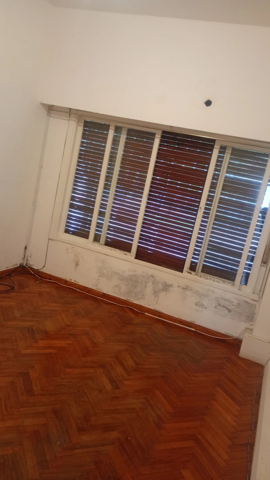 🏡 𝗔𝗟𝗤𝗨𝗜𝗟𝗘𝗥 𝗣𝗛 3 𝗔𝗠𝗕𝗜𝗘𝗡𝗧𝗘𝗦 𝗖𝗢𝗡 𝗙𝗢𝗡𝗗𝗢 𝗩𝗘𝗥𝗗𝗘 ☀️ — imagen 5