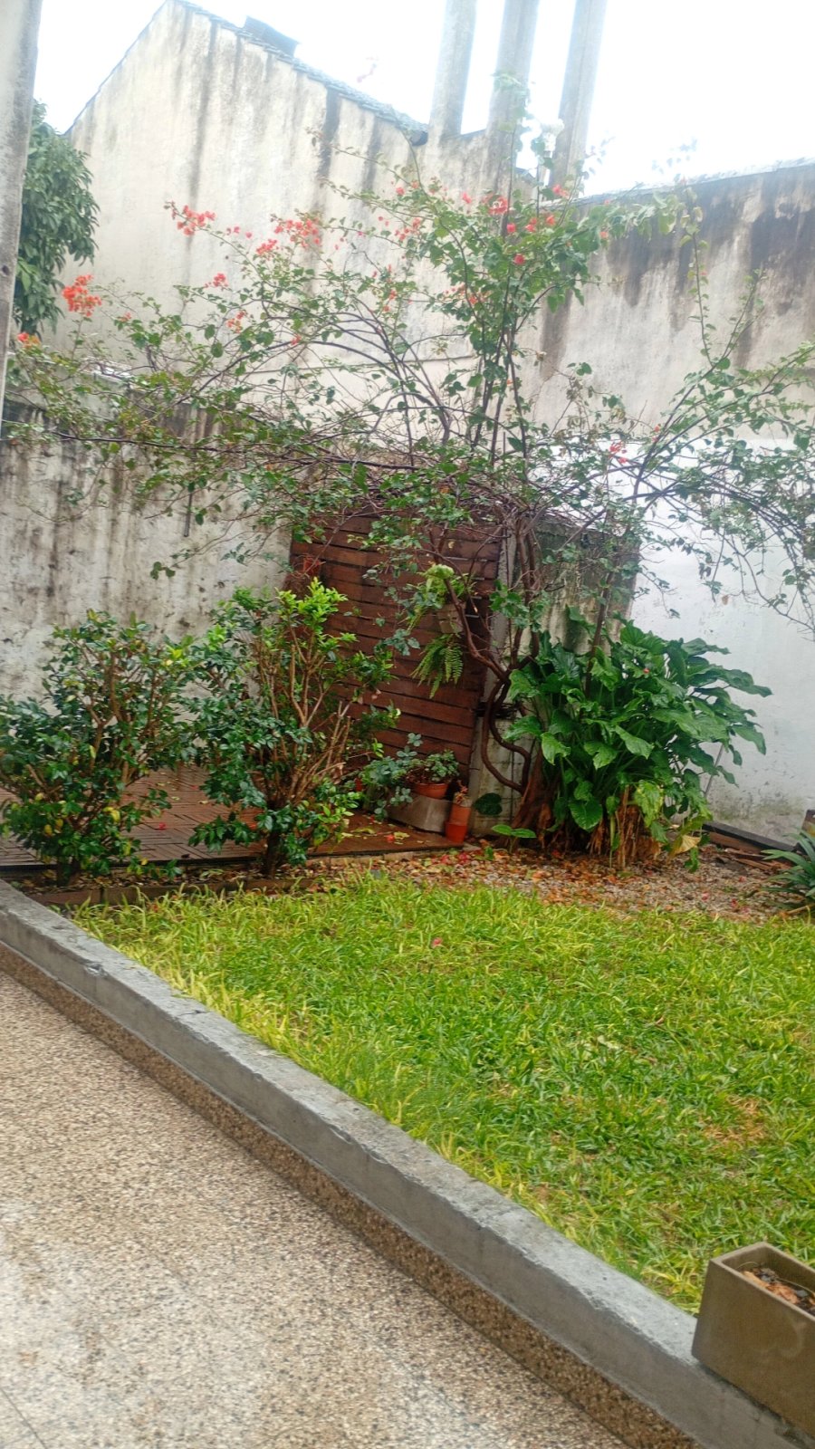 🏡 𝗔𝗟𝗤𝗨𝗜𝗟𝗘𝗥 𝗣𝗛 3 𝗔𝗠𝗕𝗜𝗘𝗡𝗧𝗘𝗦 𝗖𝗢𝗡 𝗙𝗢𝗡𝗗𝗢 𝗩𝗘𝗥𝗗𝗘 ☀️ — imagen 12