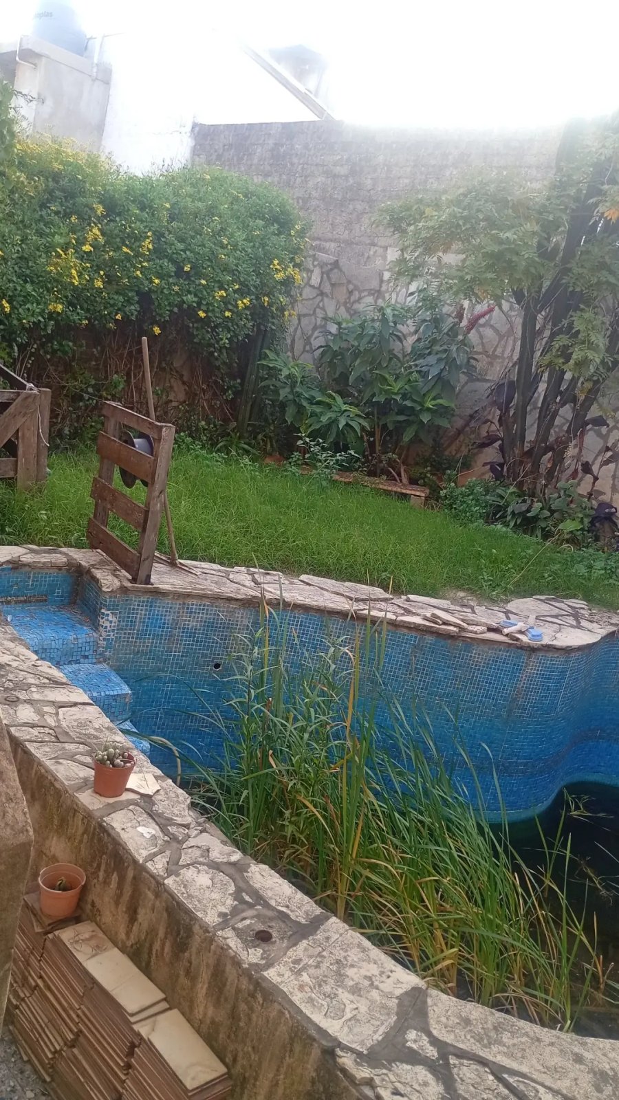 ‼️🏠 𝗡𝗨𝗘𝗩𝗢 𝗩𝗔𝗟𝗢𝗥 PROPIEDAD EN 𝗩𝗘𝗡𝗧𝗔: CASA + DEPTO EN RAMOS MEJIA‼️🏠 — imagen 14